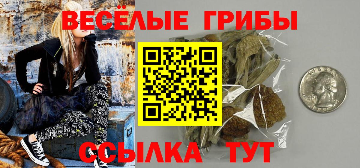 продажа наркотиков  Вход с VPN  Подольск  Псилоцибиновые грибы GOLDEN TEACHER  Псилоцибиновые грибы ЛСД 