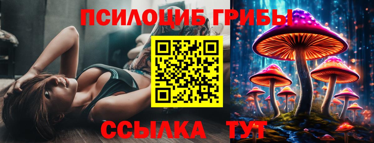 Псилоцибиновые грибы ЛСД Подольск